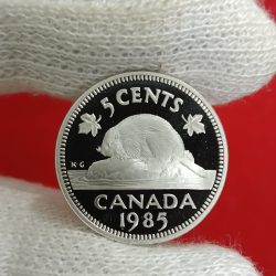 Elizabeth II DG Regina 5 Cents Proof Coin 1985 Year Royal Canadian Mint