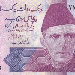 Pakistan 50 Rupees Urdu text Rare Note #B2
