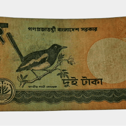 Bangladesh 2 Taka On Bird Theme Oriental Magpie-Robin Doyel [National Bird] Bank Note in Used Condition.