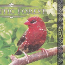 Brazil 500 Aves Dollars - Atlantic Forest Fantasy Polymer Note