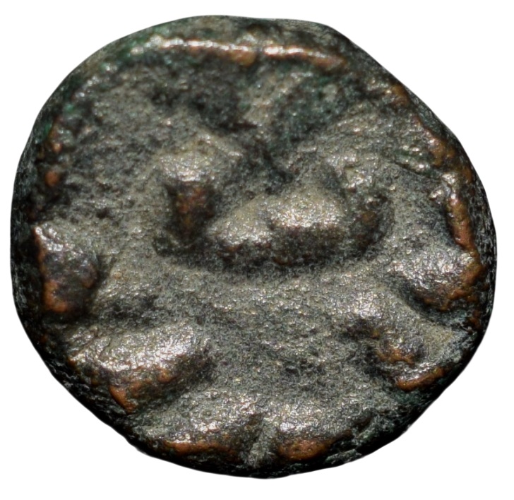 Copper Kakani of Ganapati Naga(c. 3rd Cen. AD) of Nagas Dynasty from Padmavati Bull Type