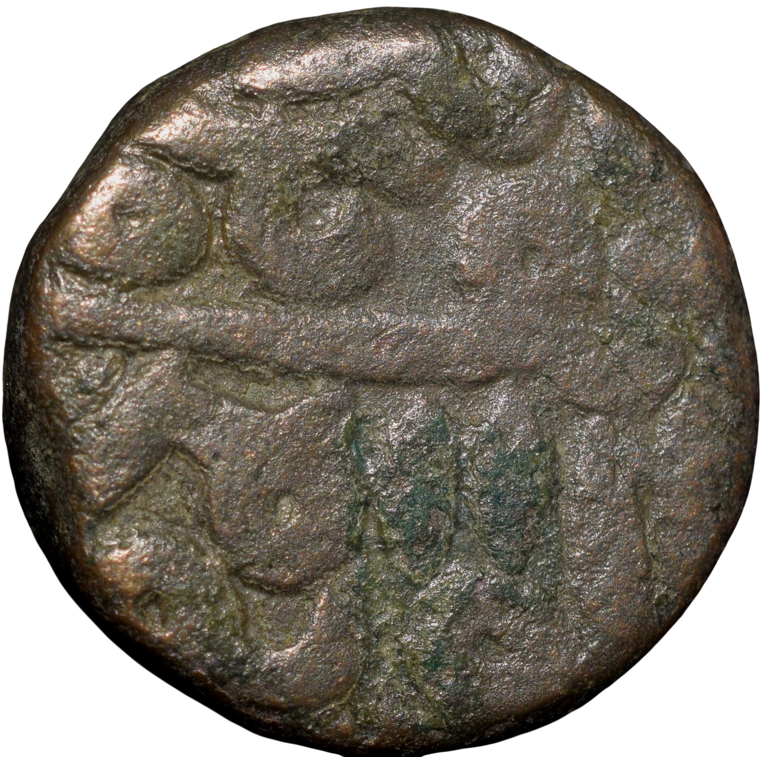Copper Falus of Nasir al-din Mahmud Shah III(AD 1537-1553) of Gujrat Sultanate G439