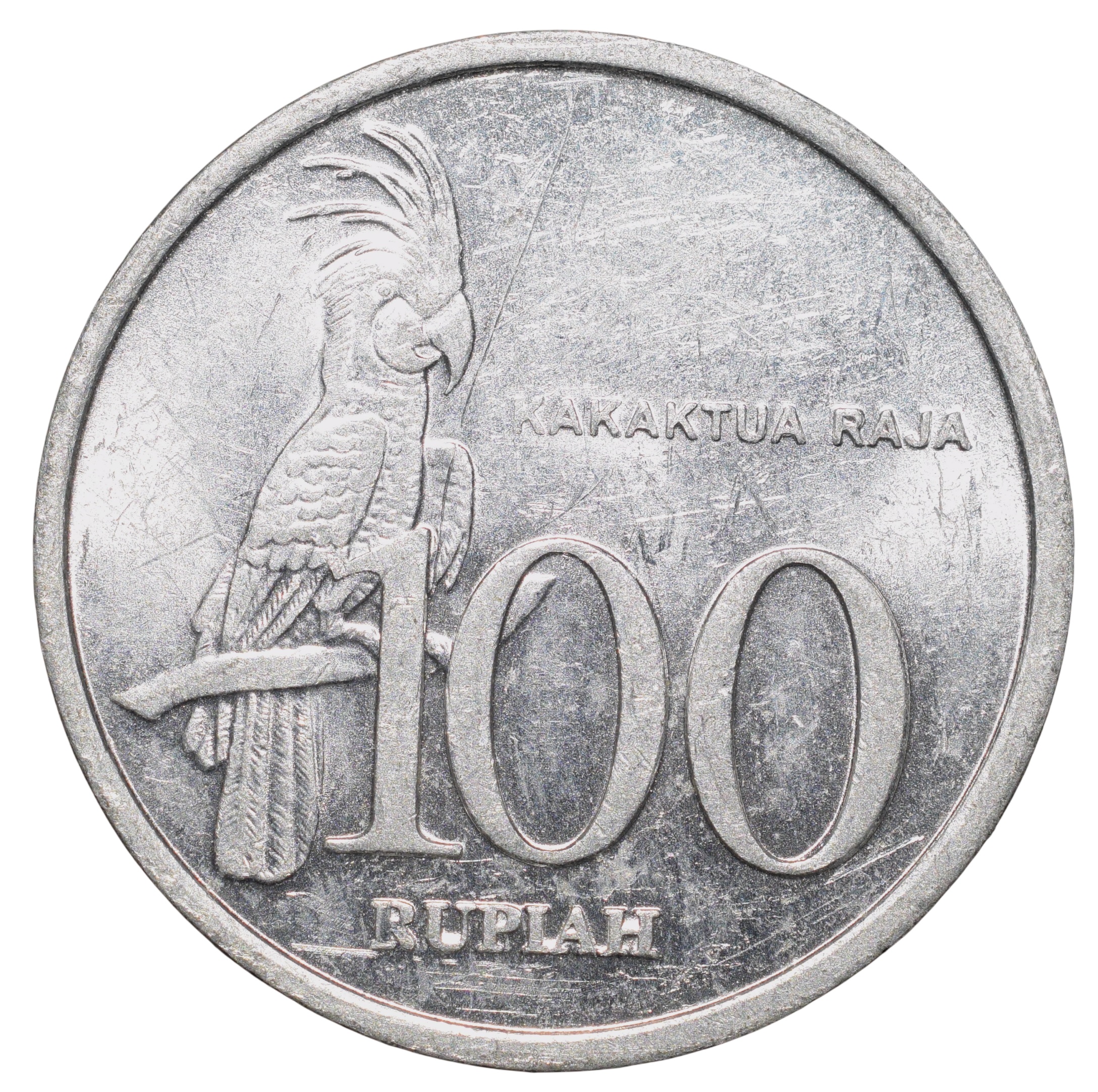 Aluminium 100 Rupiah of Indonesia (AD 1999) withBlack Palm Cockatoo (Probosciger aterrimus) Bird