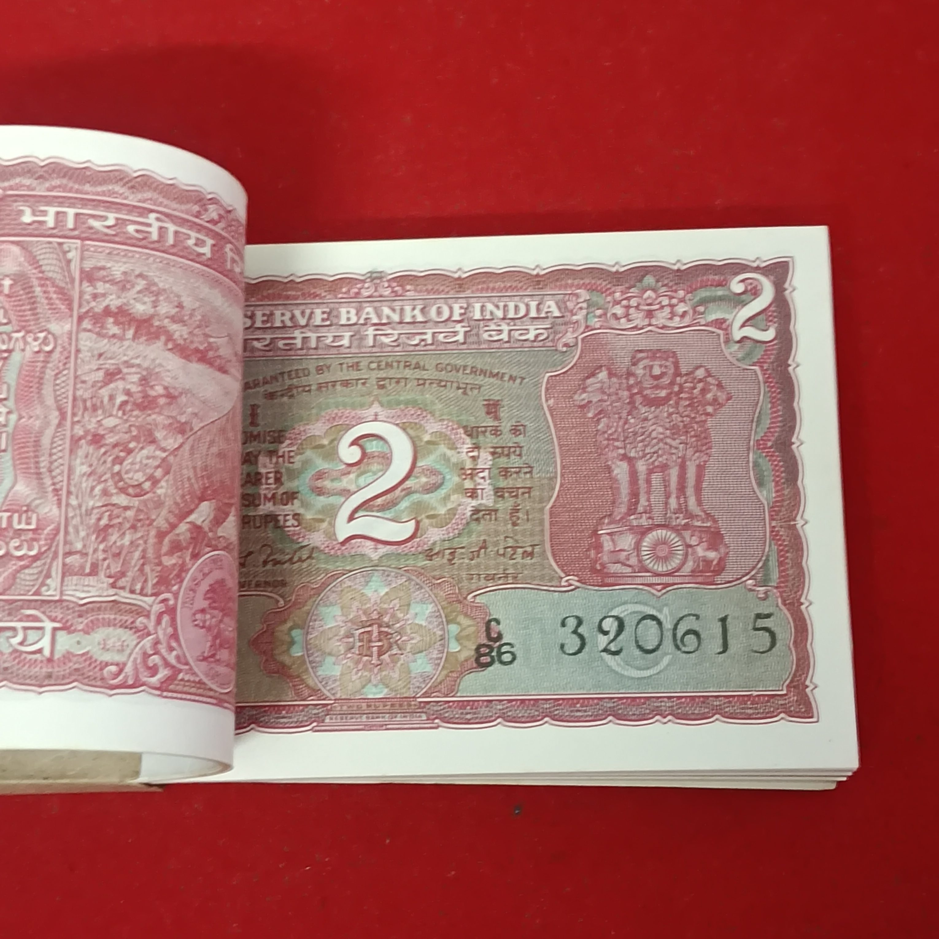 Two Rs Rare Tiger Full Bundle Governor IJ Patel Reverse 786 Reserve Bank of India 320601
