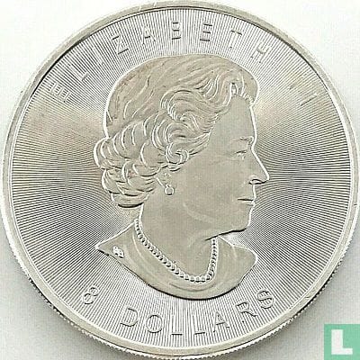 Canada 8 Dollars -2015 Elizabeth II Polar Bear With Cub 1½ oz Gem Unc Coin #A2